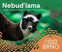 Nebuď lama, brněnská zoo spouští novou šifrovací hru pro celou rodinu